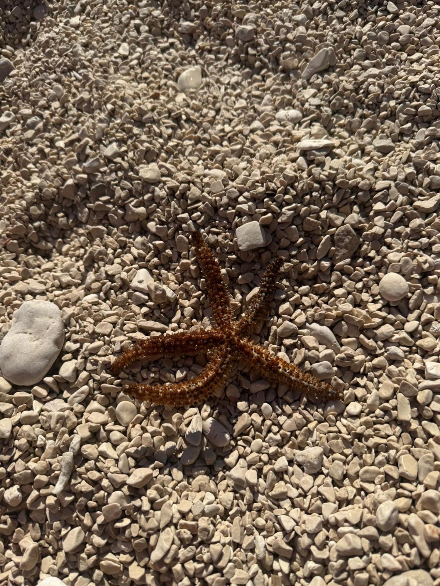 Lägenhet Adela Apartments - Beach Znjan Split Split